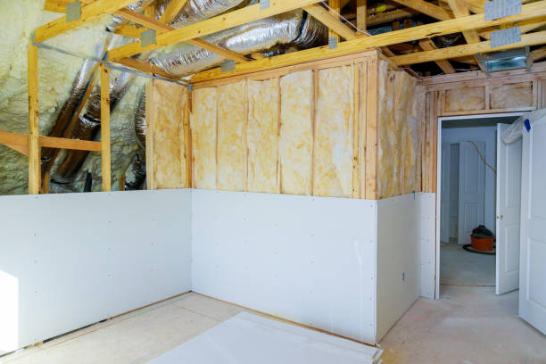 Insulation Repair Services in East Palatka, FL